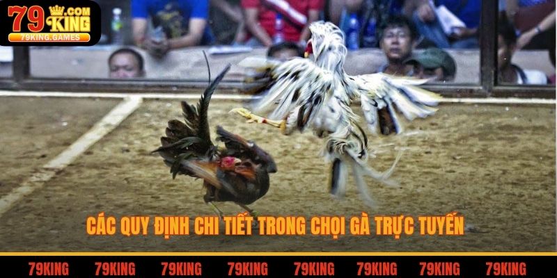 Các quy định chi tiết trong chọi gà trực tuyến 