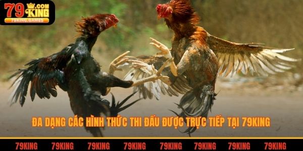 Đa dạng các hình thức thi đấu được trực tiếp tại 79king