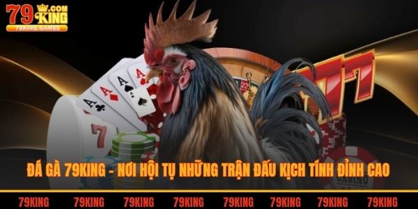 Đá gà 79king nơi hội tụ những trận đấu kịch tính đỉnh cao
