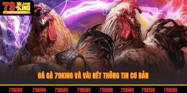 Đá gà 79king và vài nét thông tin cơ bản