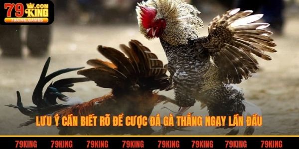Lưu ý cần biết rõ để cược đá gà thắng ngay lần đầu