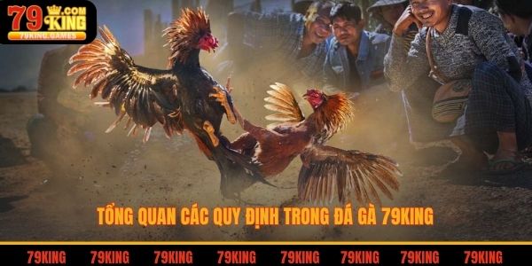 Tổng quan các quy định trong đá gà 79king